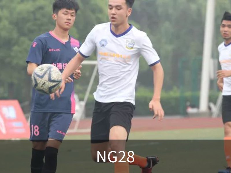 NG28概况